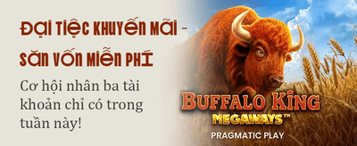 Đặc Quyền 8bet VIP Thượng Lưu